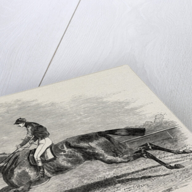 S.A. Nichol's Newminster, Winner of the Great St. Leger Stakes, at Doncaster, 1851 by Anonymous