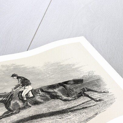 S.A. Nichol's Newminster, Winner of the Great St. Leger Stakes, at Doncaster, 1851 by Anonymous