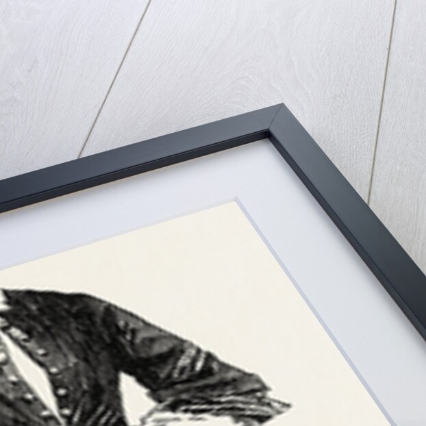 Amelia Bloomer, Originator of the New Dress by Anonymous