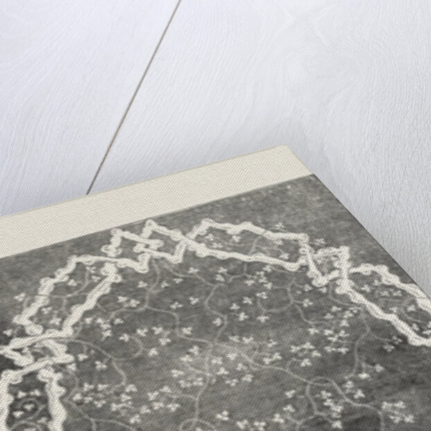 Muslin Curtain by Anonymous