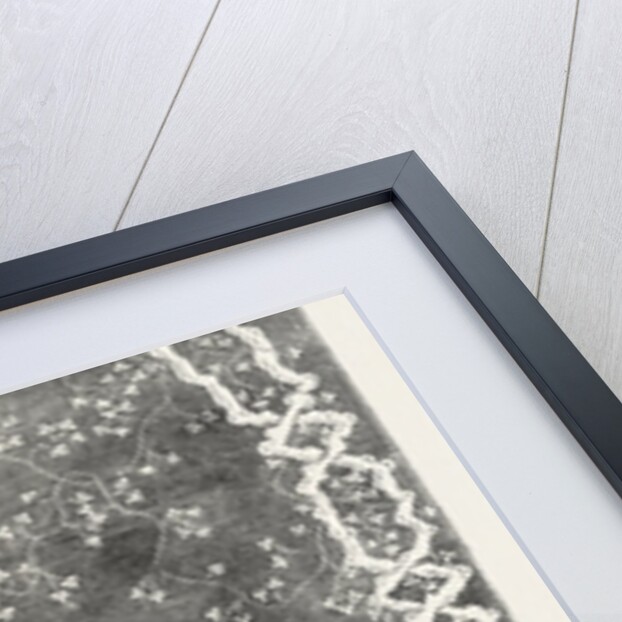 Muslin Curtain by Anonymous