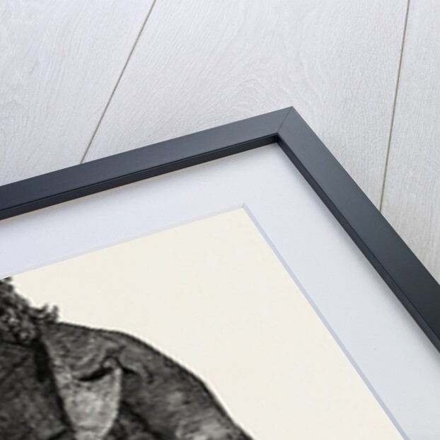 Mr. Josh Silsbee, the Yankee Comedian, at the Adelphi Theatre, London by Anonymous