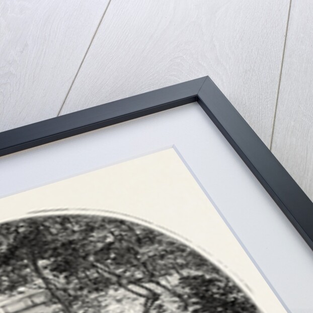 Aira Force, Lake District by Anonymous