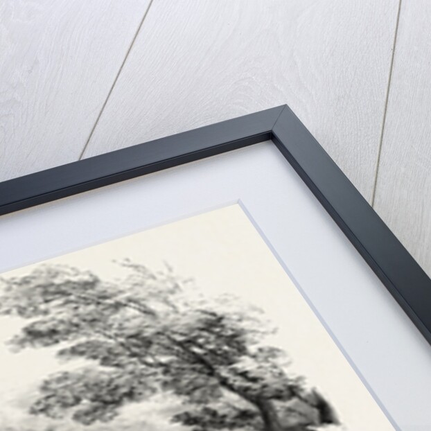 Ullswater, Lake District by Anonymous