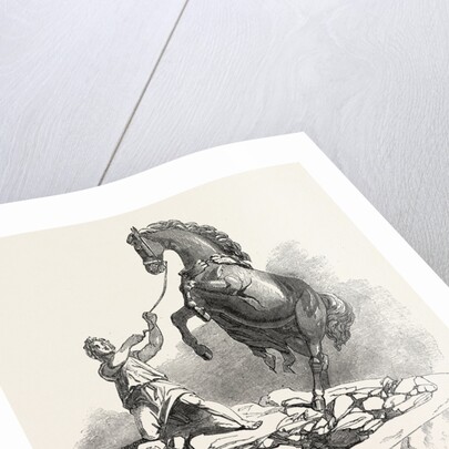 The Great Exhibition, Horse Groups in the Russian Department by Anonymous