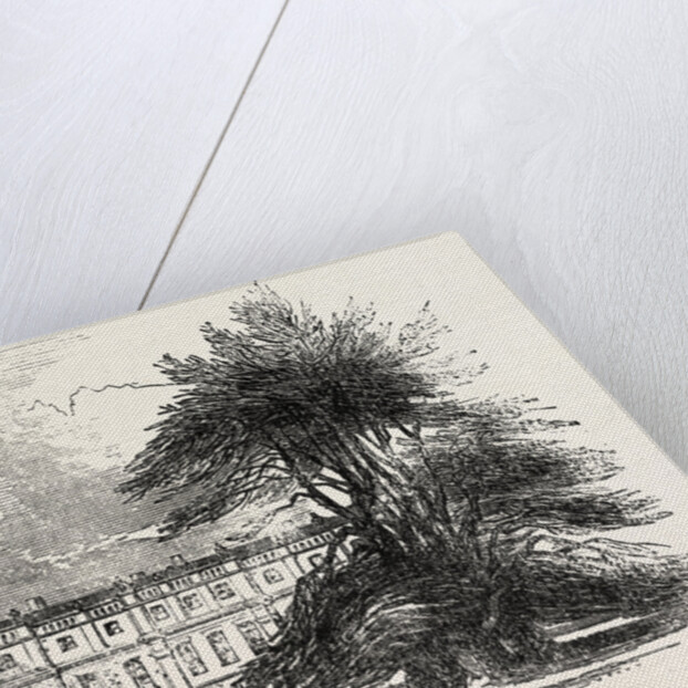 The Grove, Hertfordshire by Anonymous