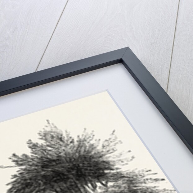 The Grove, Hertfordshire by Anonymous