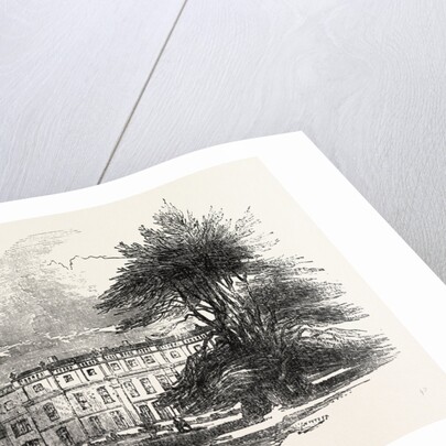 The Grove, Hertfordshire by Anonymous