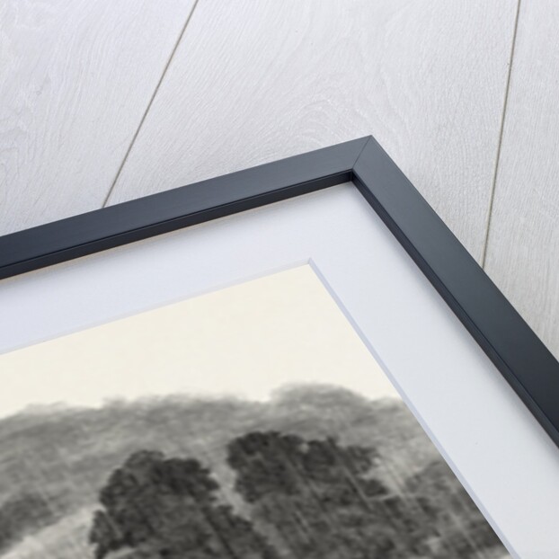 Arrival of Her Majesty Queen Victoria at Worsley by Anonymous