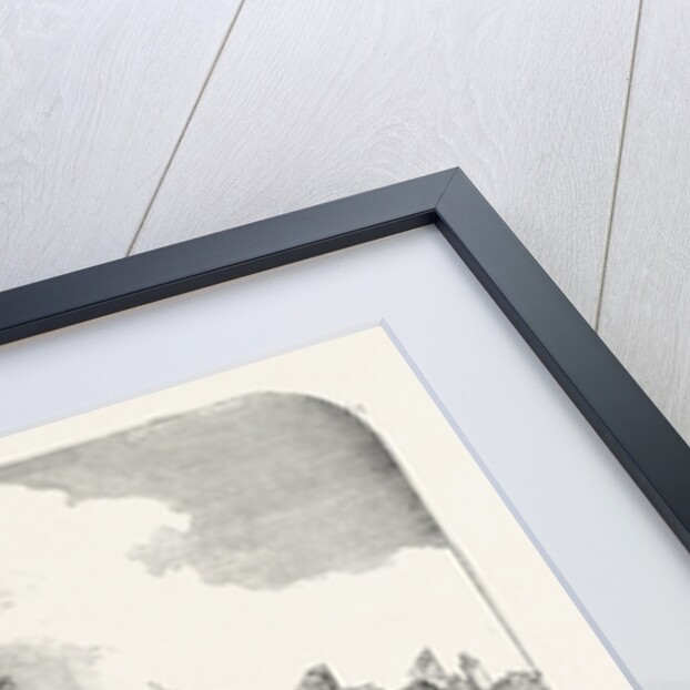 The Royal Procession at Windsor Bridge Arch, Salford by Anonymous