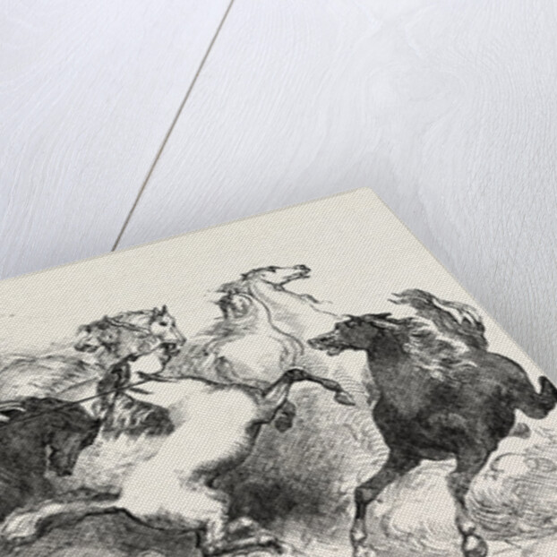 Mr. Eaton Stone's Capture of the Wild Horse of the Prairie by Anonymous