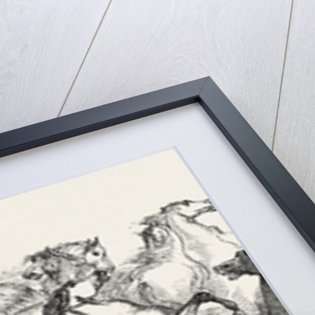 Mr. Eaton Stone's Capture of the Wild Horse of the Prairie by Anonymous