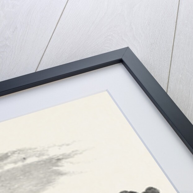 Presentation of the Address to Her Majesty Queen Victoria, at Worsley Hall by Anonymous