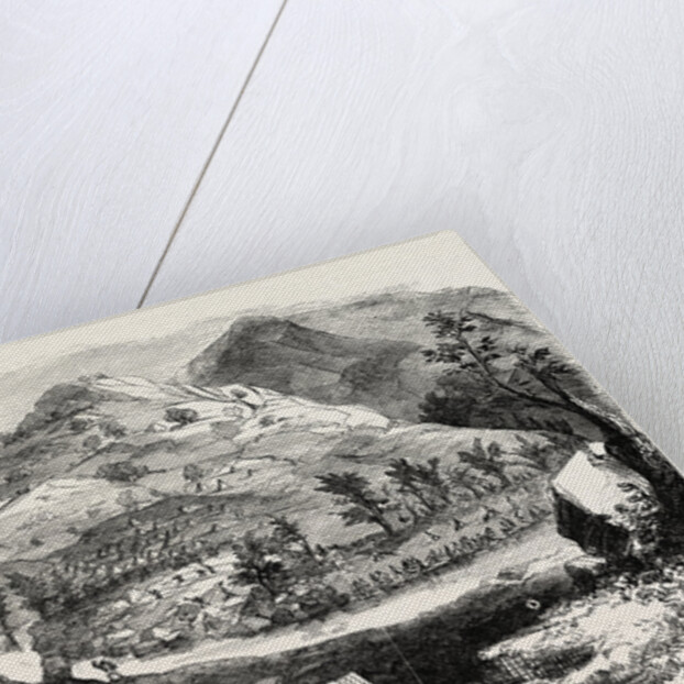 The Australian Gold District: The Gold Diggings at Ophir, County of Wellington, New South Wales, Australia by Anonymous