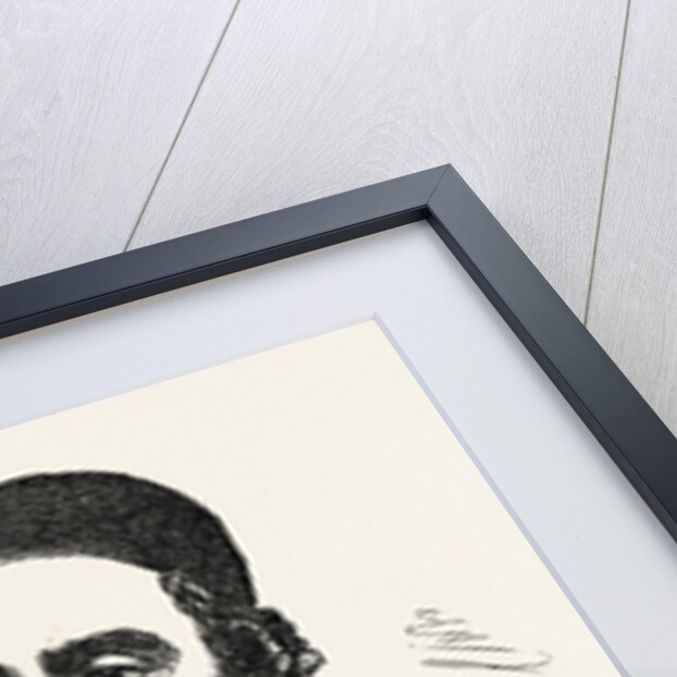 His Excellency M. Constantine Musurus. Envoy Extraordinary and Minister Plenipotentiary for Turkey by Anonymous