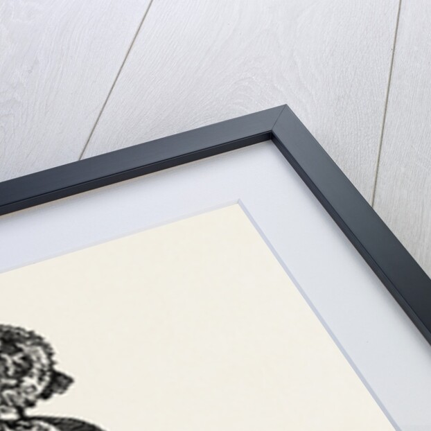 Paris Fashions for November, 1851 by Anonymous