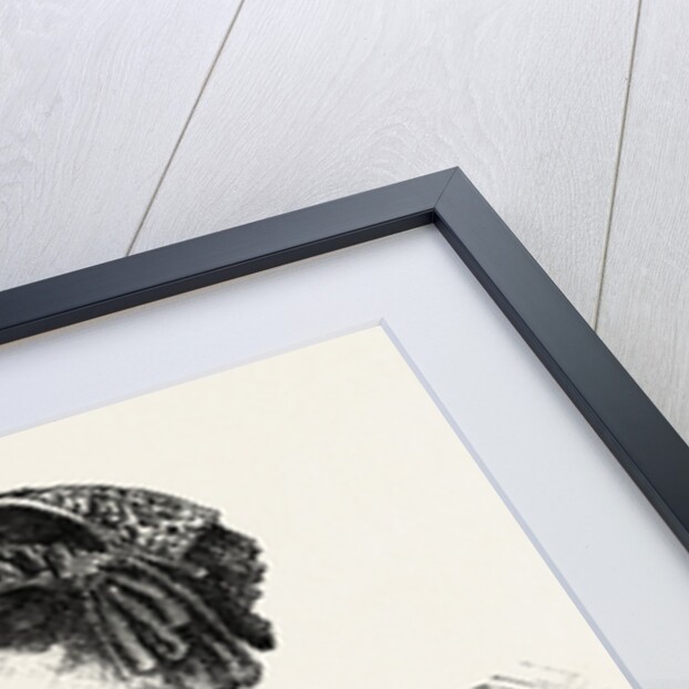 Paris Fashions for November, 1851 by Anonymous