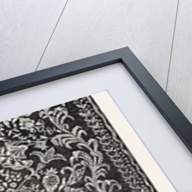 Window-Curtain by Anonymous