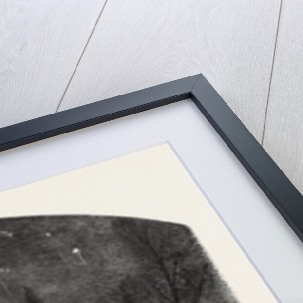 Fireworks on Guy Fawkes Day by Anonymous