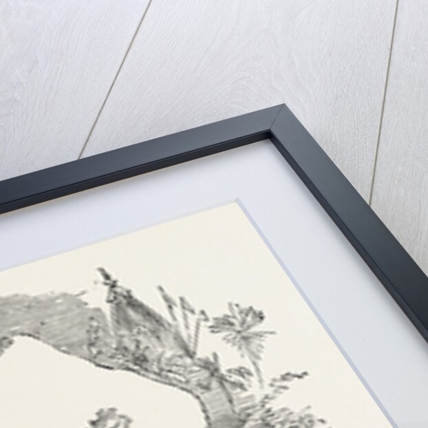 Section of Darjeeling Potato Affected with the Rot by Anonymous