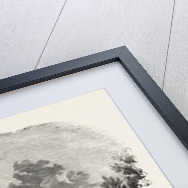 Exterior of the Circus of the Champs Elysees, Paris, France by Anonymous