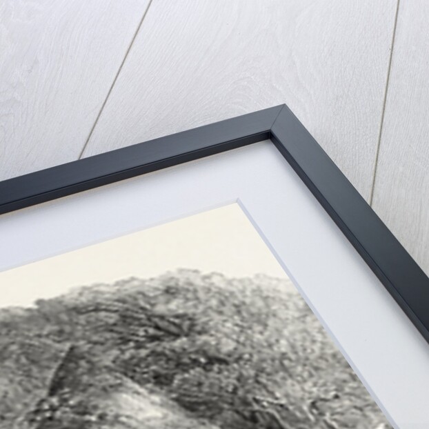 Hut in the Middle of the Hainault Forest by Anonymous