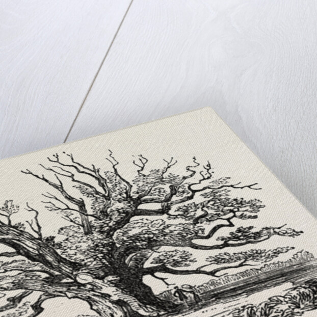 The Fairlop Oak in Hainault Forest, Sixty Years Since by Anonymous