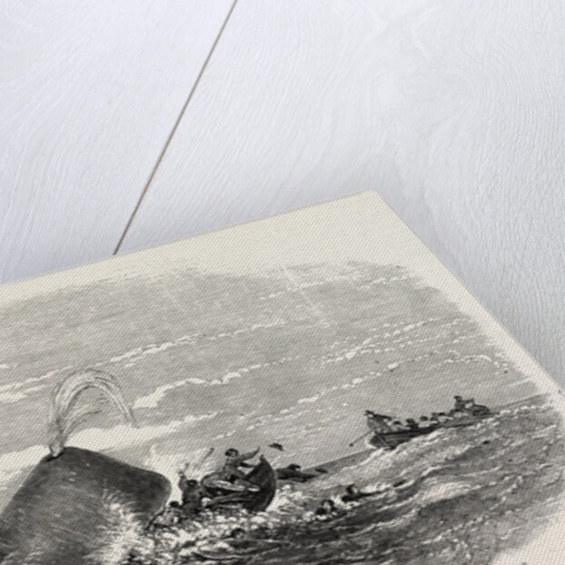 Destruction of the Larboard Boat of the Ann Alexander, by a Sperm Whale, in the South Pacific by Anonymous