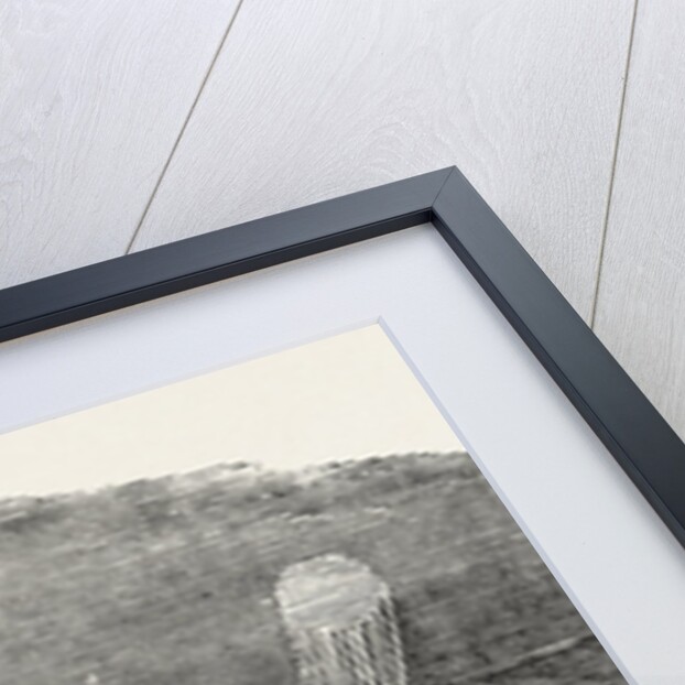 Captain Austin's Arctic Expedition: Parhelia, Witnessed October 4, 1850, at Griffith's Island by Anonymous