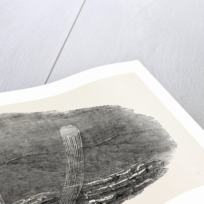 Captain Austin's Arctic Expedition: Parhelia, Witnessed October 4, 1850, at Griffith's Island by Anonymous