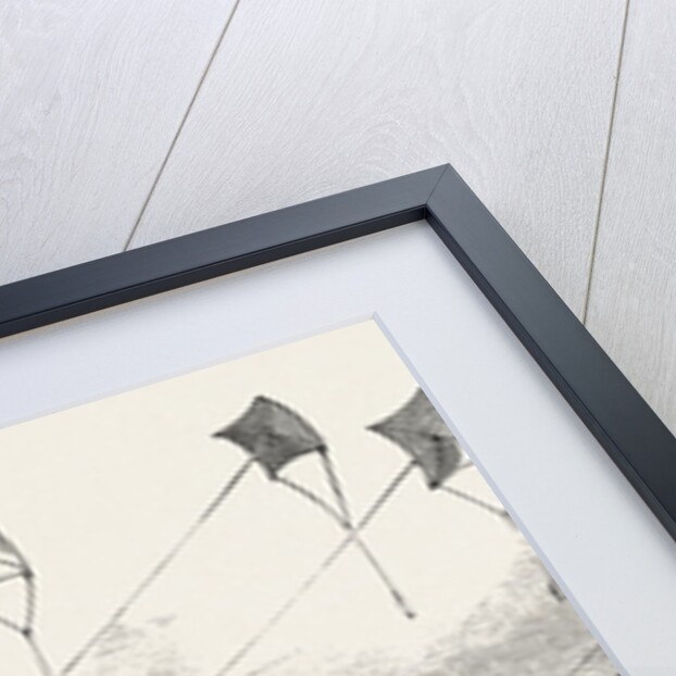 Captain Austin's Arctic Expedition: Western Division of Sledges by Anonymous