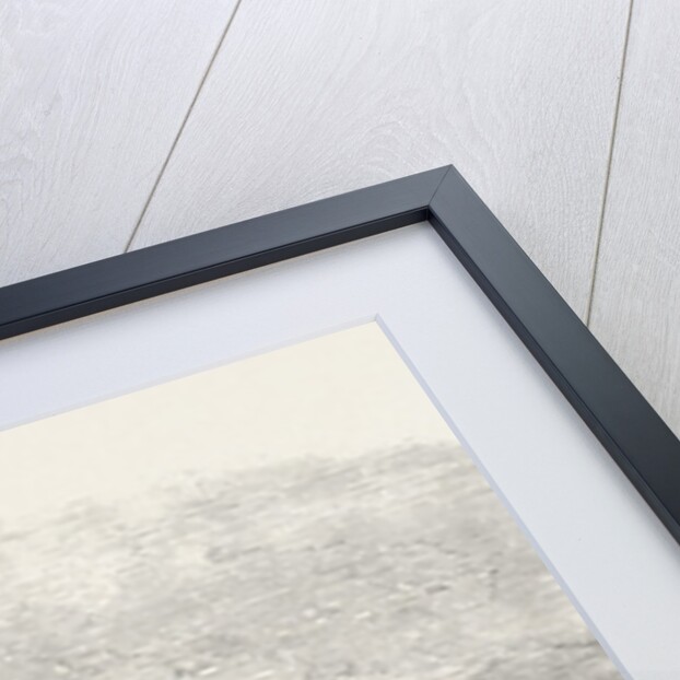 Captain Austin's Arctic Expedition: Winter Quarters of Sir John Franklin by Anonymous