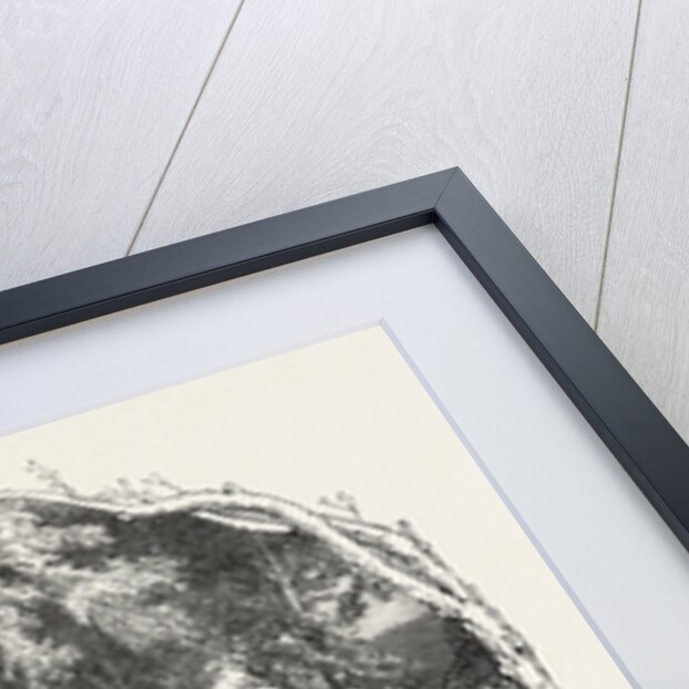 In the Countryside by Anonymous