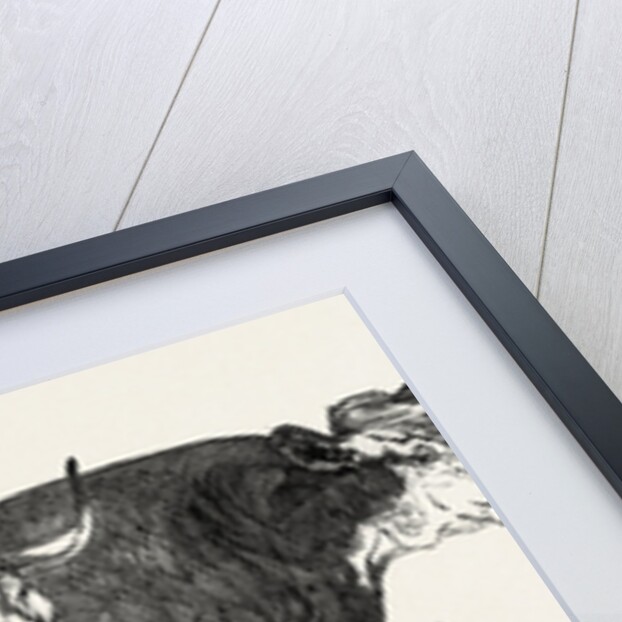 Smithfield Club Prize Cattle: Prince Albert's Hereford Ox and Mr. William Heath's Hereford Ox by Anonymous