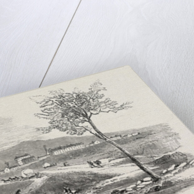 Gold-Seekers Arriving at Bathurst, on Their Way to Ophir, Gold District, Australia by Anonymous