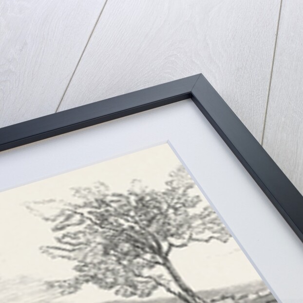 Gold-Seekers Arriving at Bathurst, on Their Way to Ophir, Gold District, Australia by Anonymous