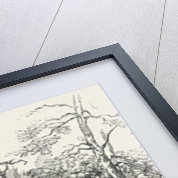 The Australian Gold District: Fitzroy Bar, Ophis, at the Junction of the Two Creeks, Australia by Anonymous