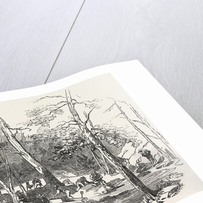 The Australian Gold District: Fitzroy Bar, Ophis, at the Junction of the Two Creeks, Australia by Anonymous