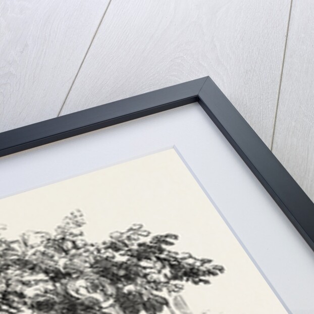 Testimonial Presented to Mr. Roney by Anonymous