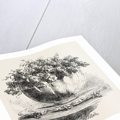 Testimonial Presented to Mr. Roney by Anonymous