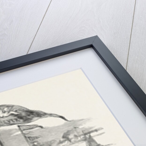 Commencement of the Ontario, Coe, and Huron Railway by His Excellency the Earl of Elgin by Anonymous