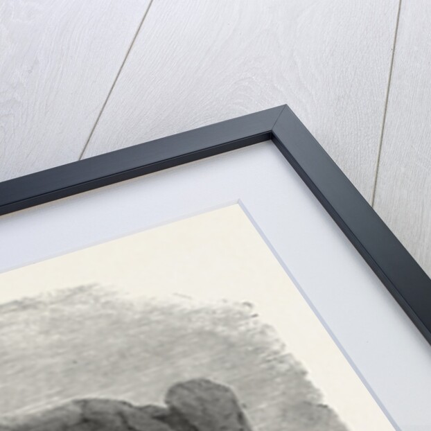 H.M. Arctic Steam Vessel Intrepid Driven Forty Feet Up an Iceberg, in Baffin's Bay by Anonymous