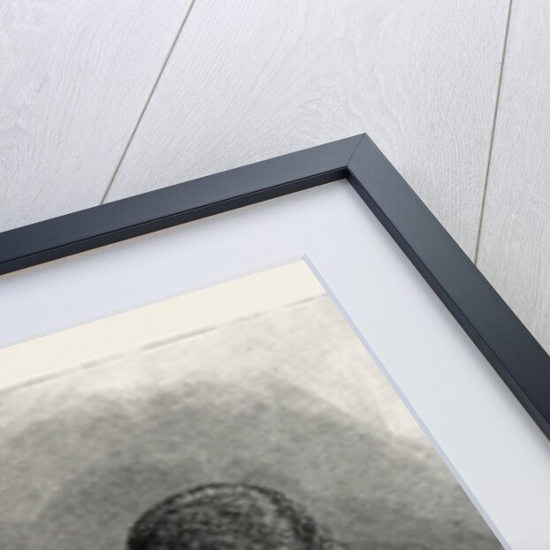 Royal Wedding at Berlin, Germany by Anonymous