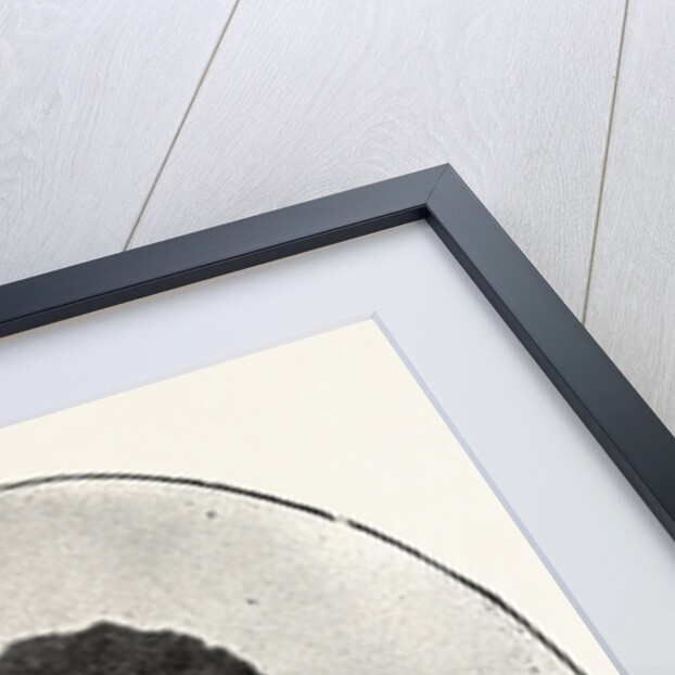 The Late Prince Theodore of Abyssinia by Anonymous