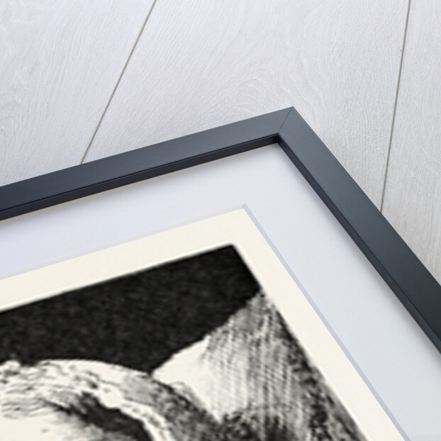 Jess, from a Window in Thrums by Anonymous