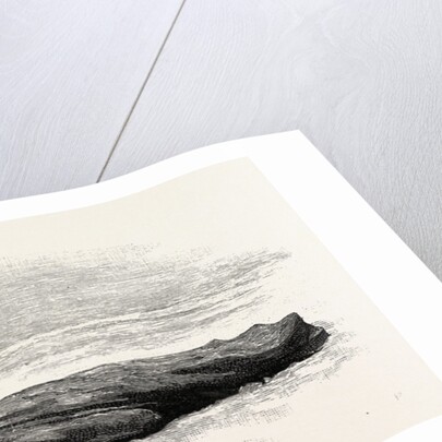 He Motioned to Have the Bag Drawn Over His Head. I Did It. of Course, that Was the End. by Anonymous