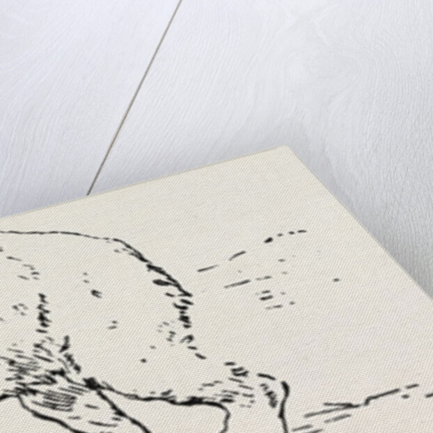 An Encounter with an Polar Bear by Anonymous