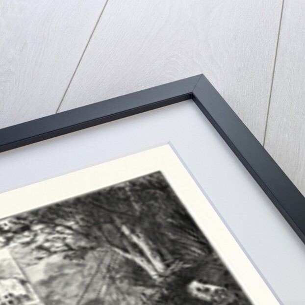 With the South Lushei Column by Anonymous