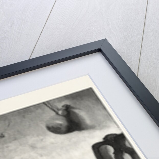 A Feather in His Cap. 1828-1903 by Anonymous