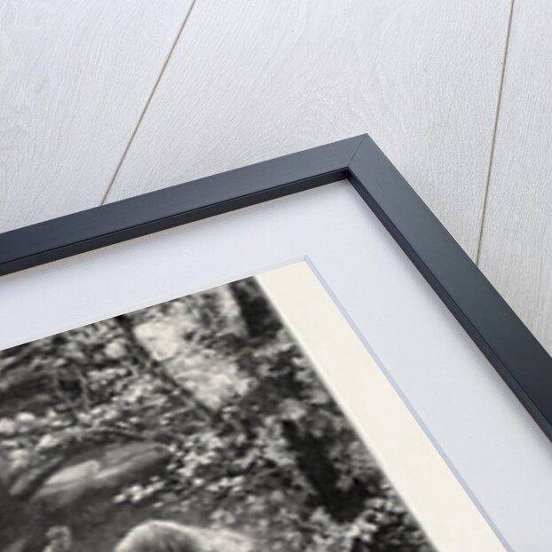 The Nymph of the Eddy by Anonymous